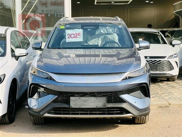 بي واي دي ‎سونغ برو DM-i 2025 للبيع في العراق - النجف